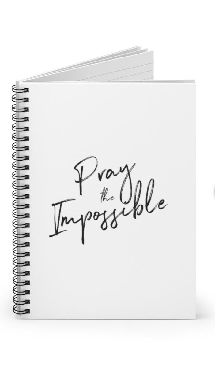 Pray the Impossible Journal